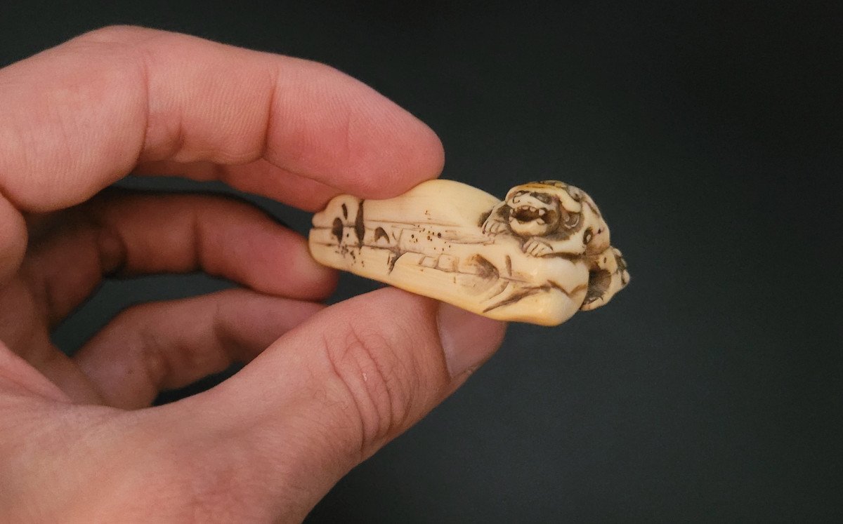 Netsuke - Shishi Escaladant Un Rocher - Ivoire - Japon - XVIIIème Siècle-photo-3