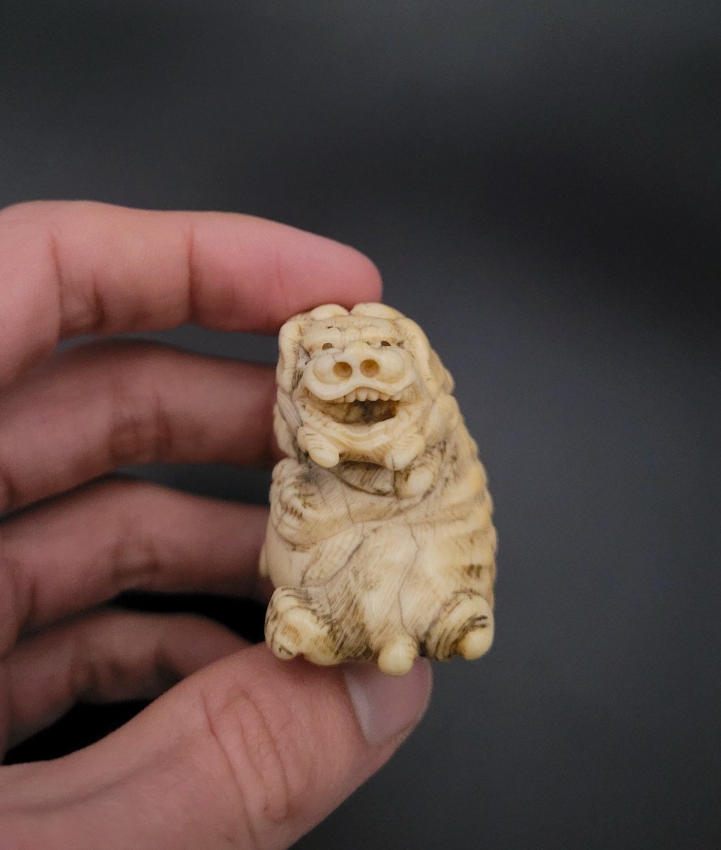 Netsuke - Imposant Shishi Au Tama - Ivoire - Japon - Début du XXème-photo-2