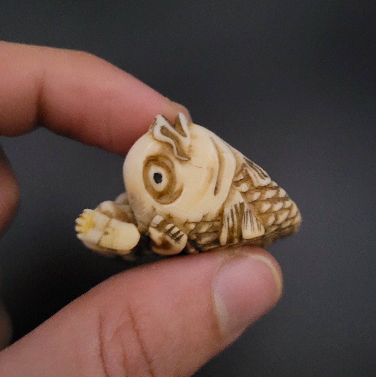 Netsuke - Takemikazuchi Soumettant Namazu - XIXème -photo-4