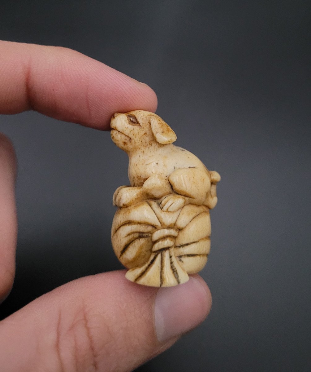 Netsuke - Chiot Sur Un Sac - Japon - Fin du XIXème -photo-3