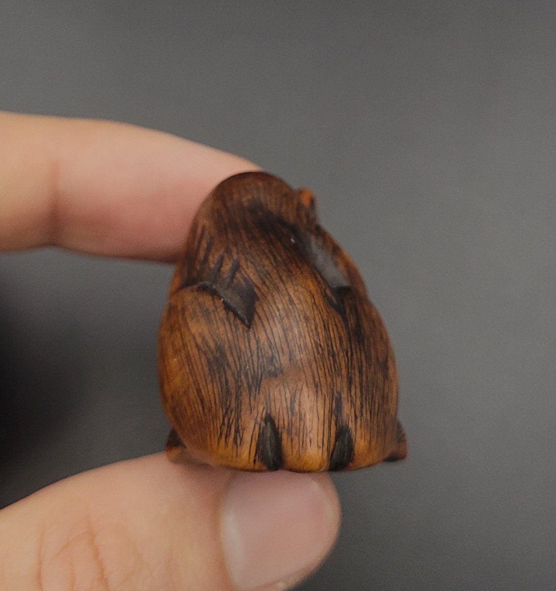 Netsuke - Loup Au Crâne - XIXème - Bois -photo-1