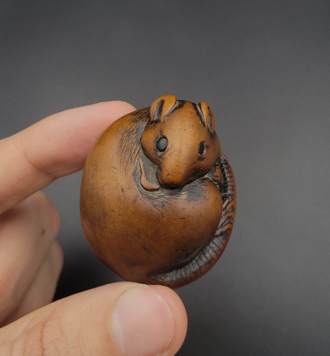 Netsuke - Rat Lové - XVIIIème - Bois-photo-3