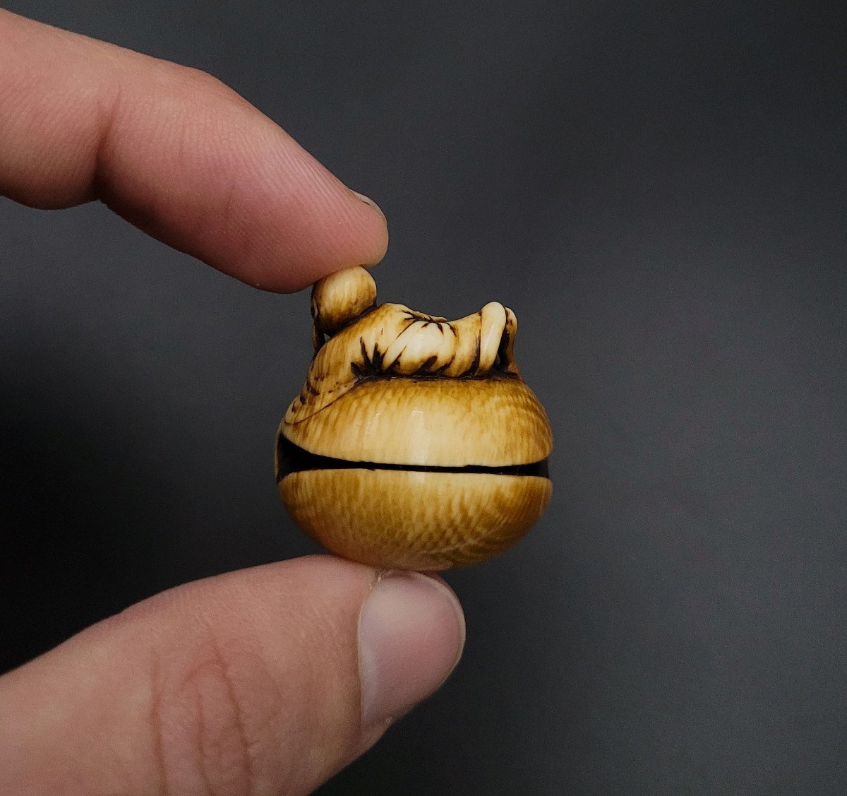 Netsuke - Bonze Laughing On A Mokugyo - Ivory - 19th Century-photo-1