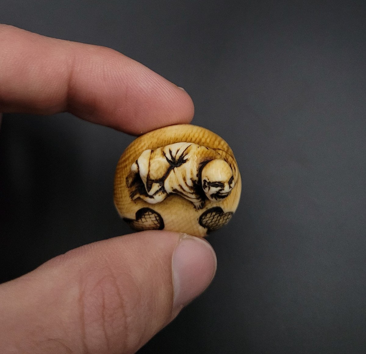 Netsuke - Bonze Laughing On A Mokugyo - Ivory - 19th Century-photo-3