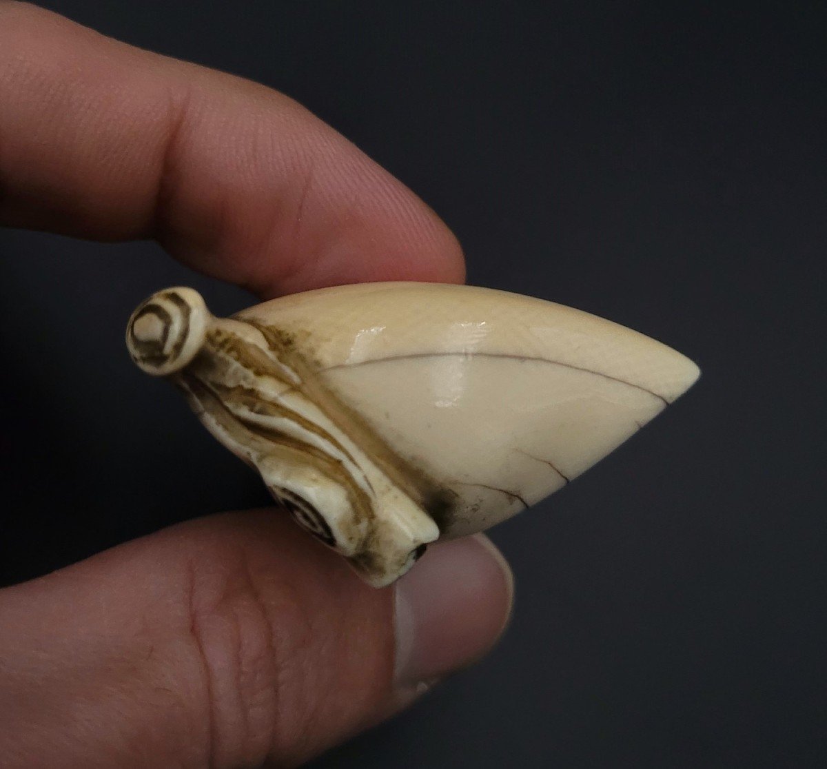 Netsuke - Singe Soutenant Une Pêche Géante - Ivoire - Ere Meiji-photo-1