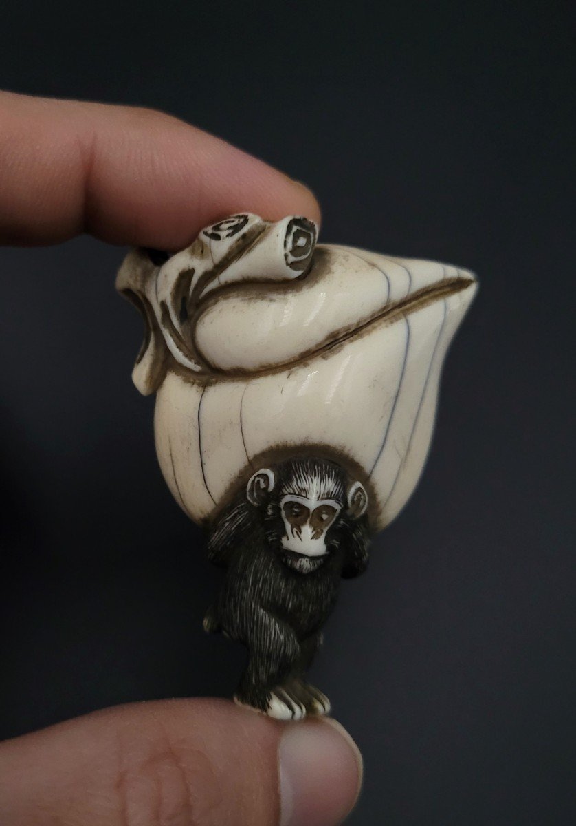 Netsuke - Singe Soutenant Une Pêche Géante - Ivoire - Ere Meiji