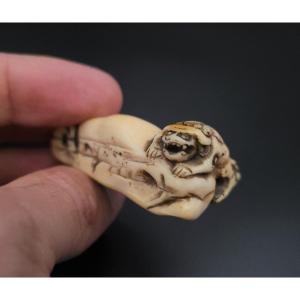 Netsuke - Shishi Climbing A Rock - Ivory - Japan - XVIIIth Century