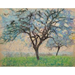 Raymond Thibésart (1874-1968) - Plum Trees In Bloom - Pastel - Framed - Signed