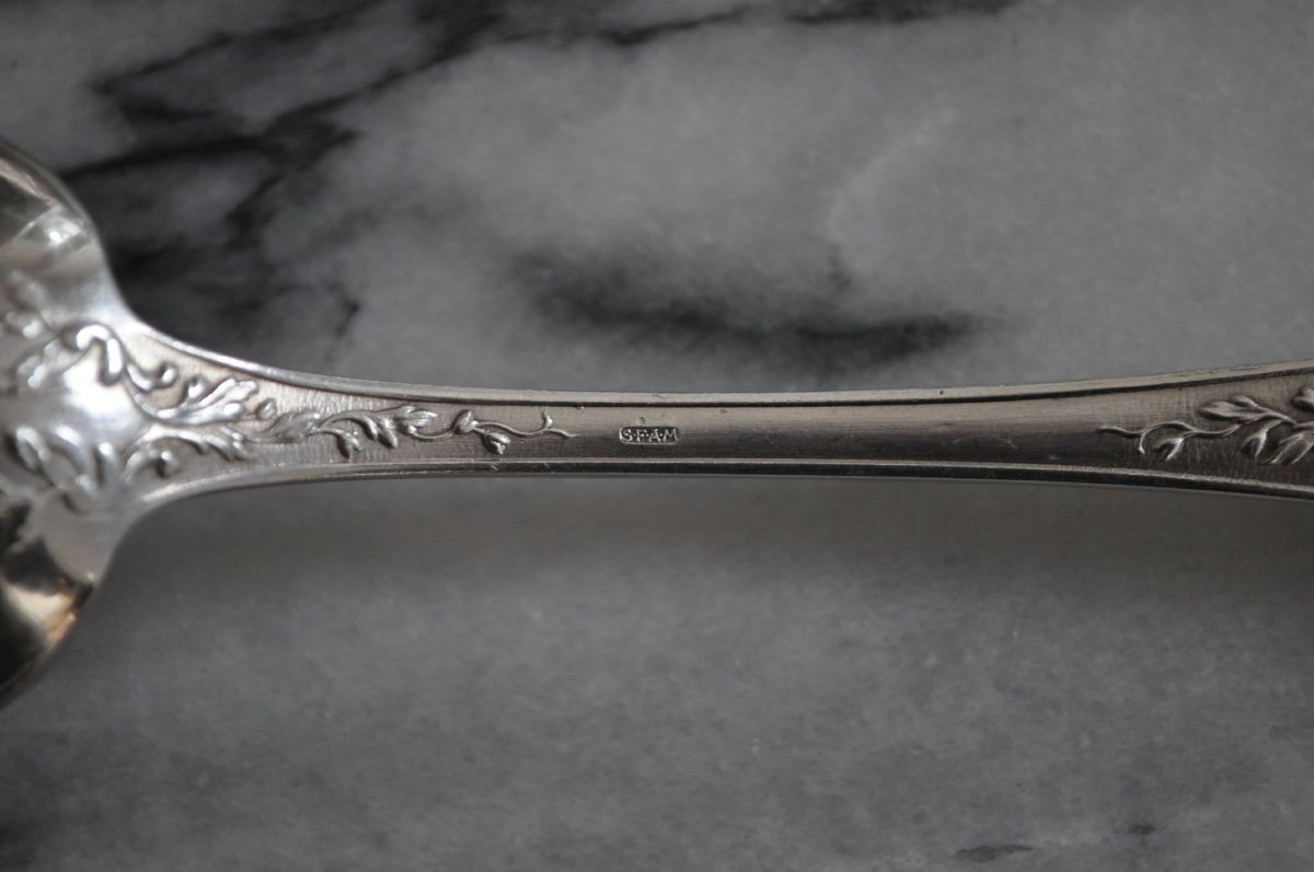 Sfam Housewife In Silver Metal Forks And Spoons Louis XV Rococo Cutlery Service-photo-5