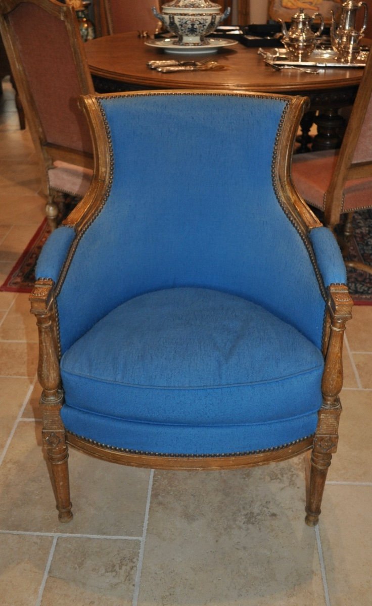 Antique Louis XVI Directoire Style Living Room Early 20th Century Pair Of Armchairs And A Bergère-photo-3