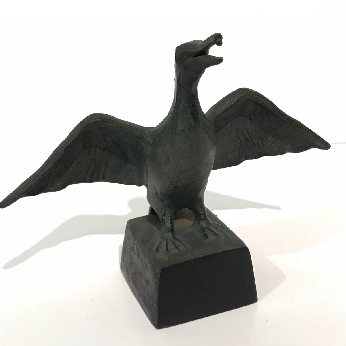 Japanese Bronze Cormorant - Japan-photo-2