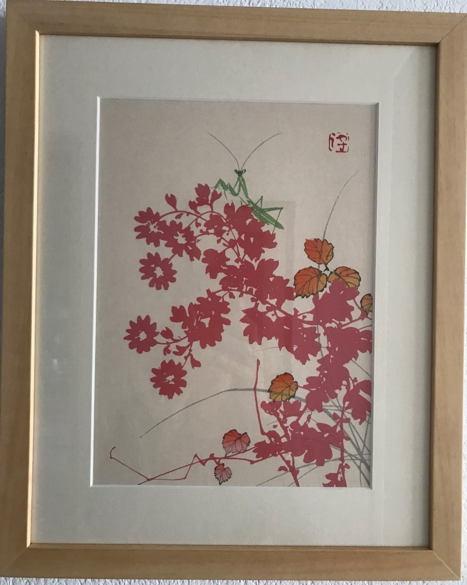 Japanese Kacho Prints By Masuichi Kyobashi - Japan