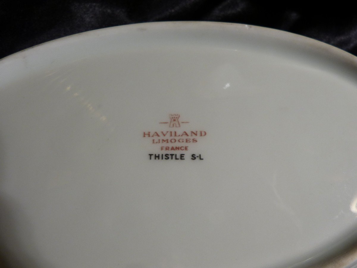 Thistle, Limoges Haviland , Service En Porcelaine 50 Pièces-photo-2