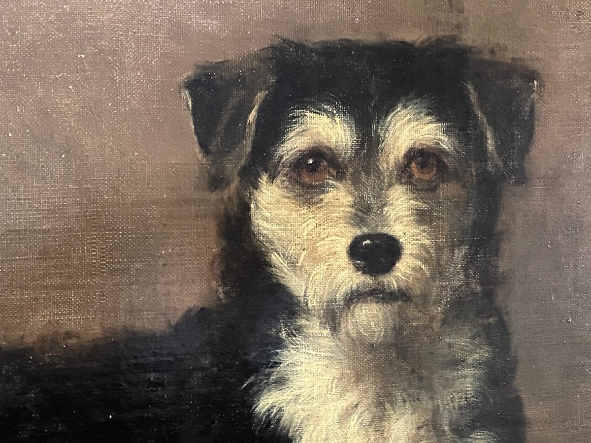 Charles Mayre , Tableau Portrait De Chien 19 Eme -photo-3