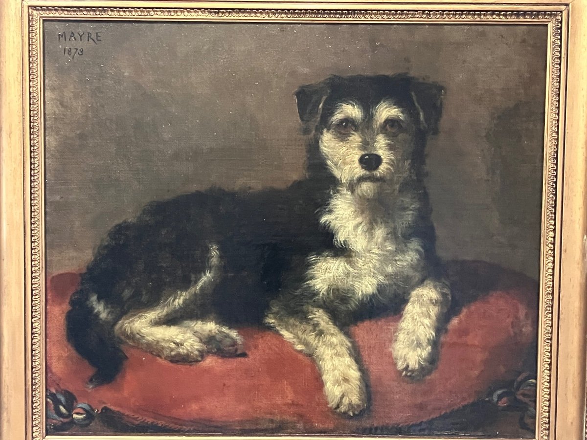 Charles Mayre , Tableau Portrait De Chien 19 Eme -photo-1