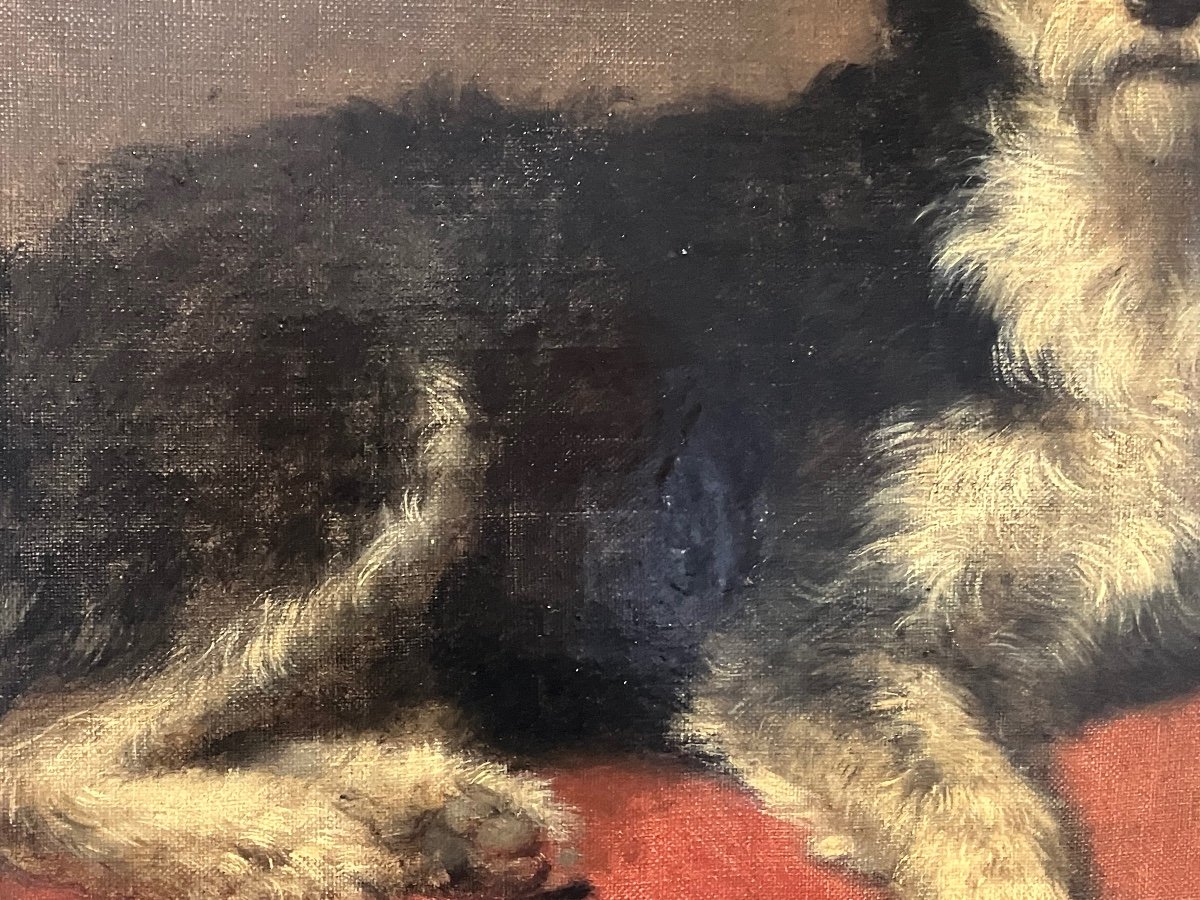 Charles Mayre , Tableau Portrait De Chien 19 Eme -photo-2