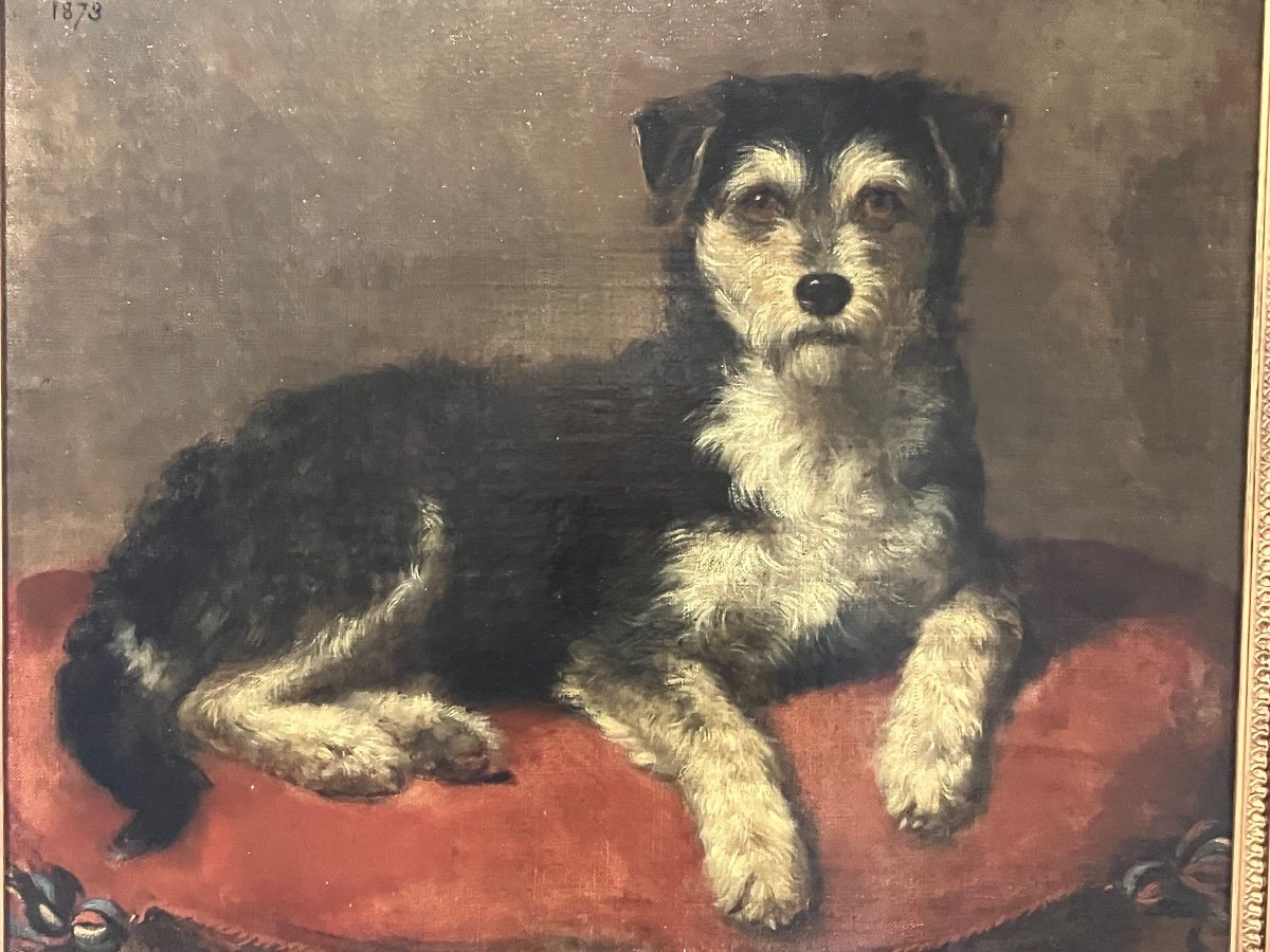 Charles Mayre , Tableau Portrait De Chien 19 Eme -photo-5