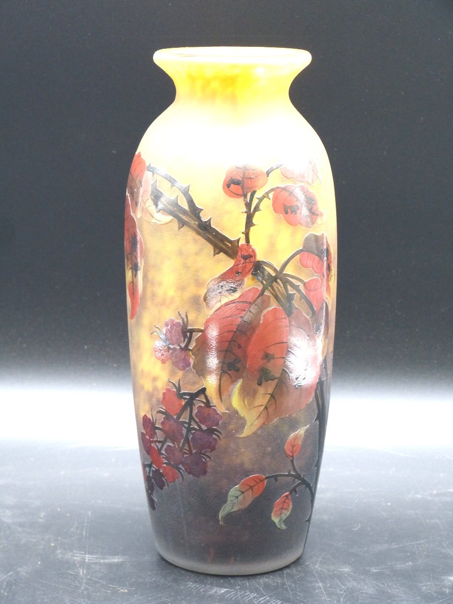 Vase Muller Frères Lunéville Au Framboisier Art Nouveau Verre Gravé Et émaillé Framboise 