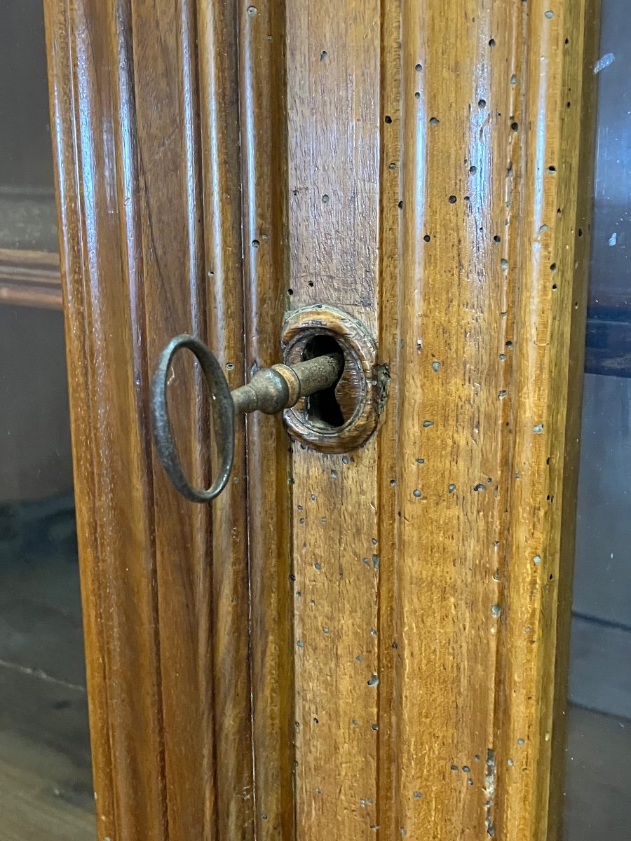 Louis Philippe Walnut Library Display Case 19th Century -photo-7