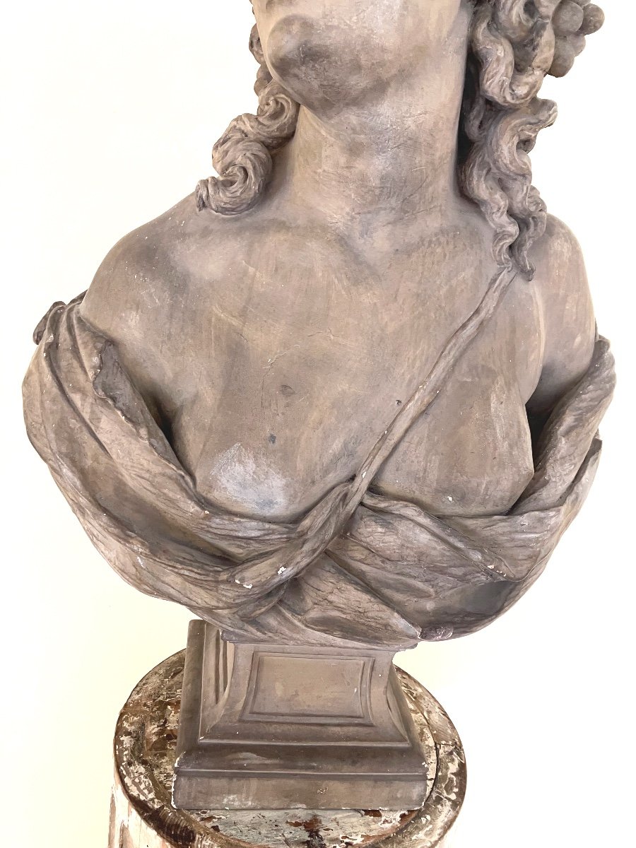 Large 19th Century Patinated Plaster Bust Of Young Woman With Naked Drape -photo-4