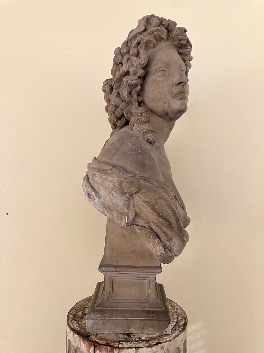 Large 19th Century Patinated Plaster Bust Of Young Woman With Naked Drape -photo-5