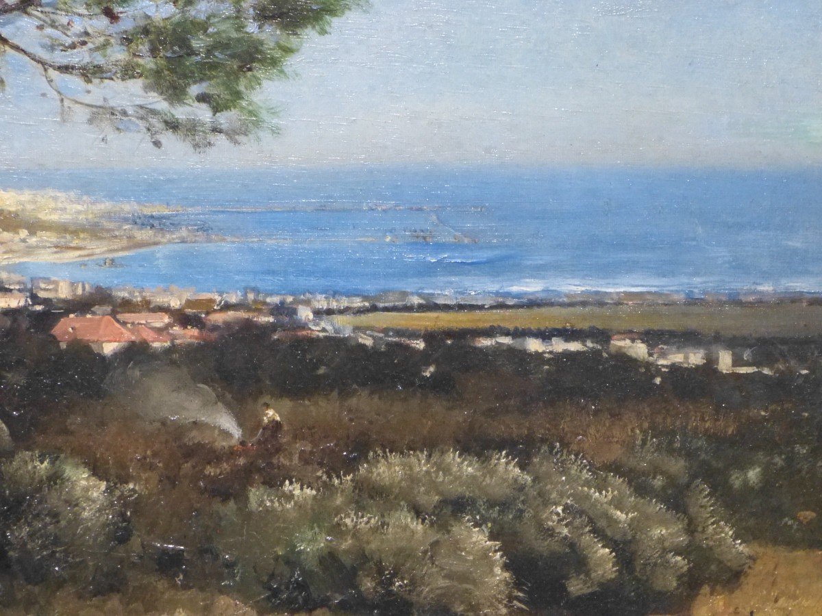 Maxime Noiré, La Baie d'Alger Paysage Orientaliste-photo-4