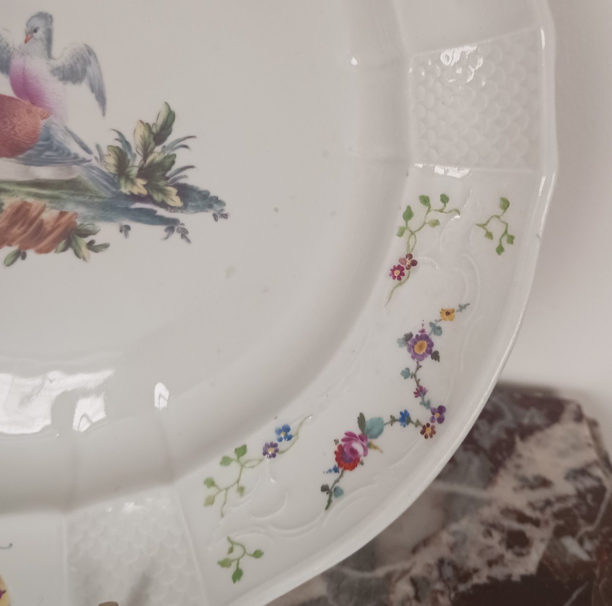 Manufacture De Fürstenberg - Ornithological Plate - Wickerwork Border - Porcelain-photo-5