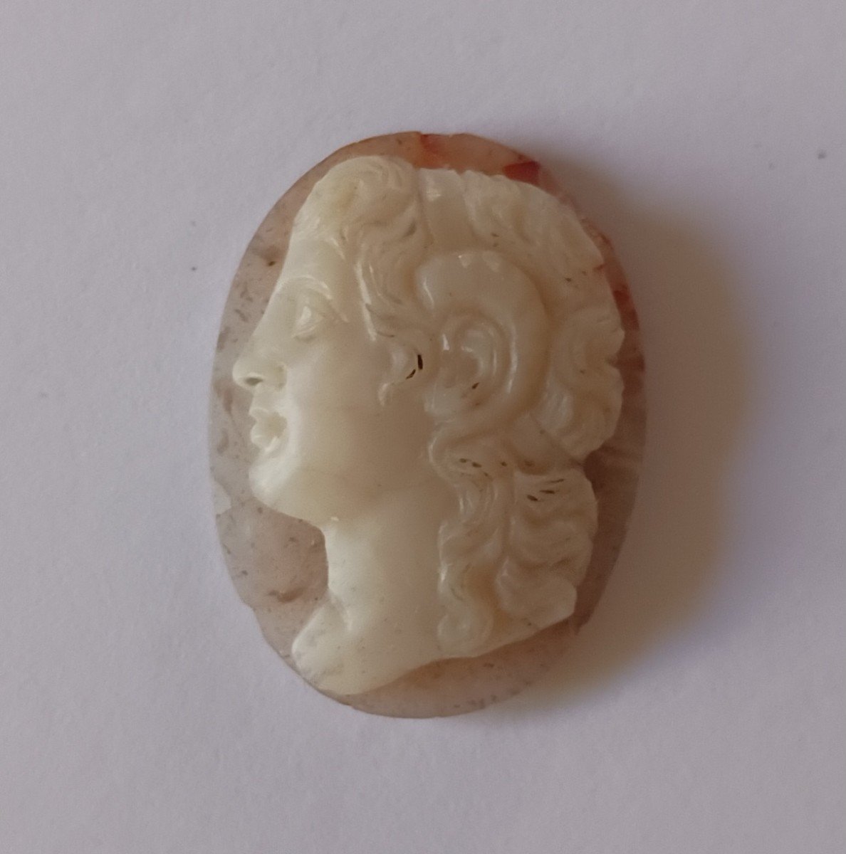 Italian Work, After The Antique - Cameo In Agate - Alexander The Great - Anticomania