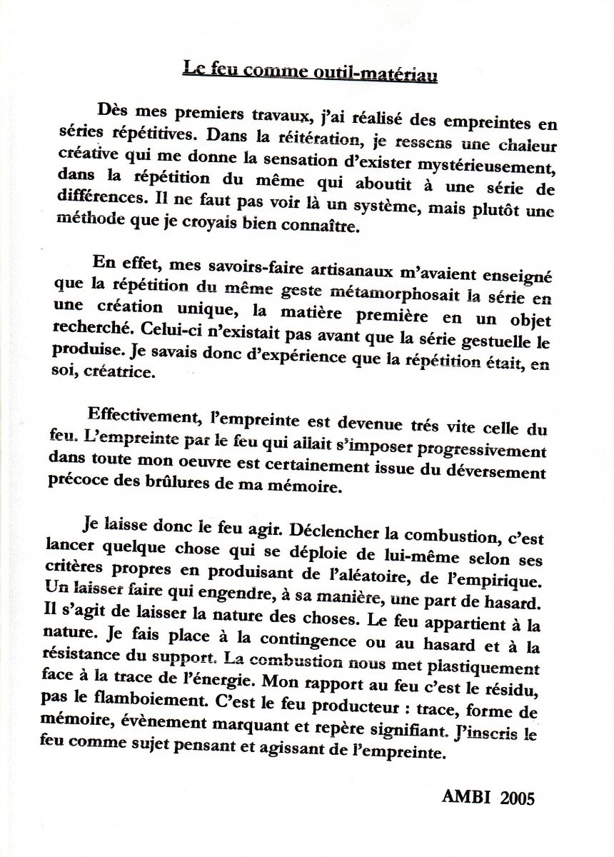 AMBI Artiste Plasticienne Madagascar "Scissiparité", 2004 Carton entoilé brûlé  200x 150-photo-3