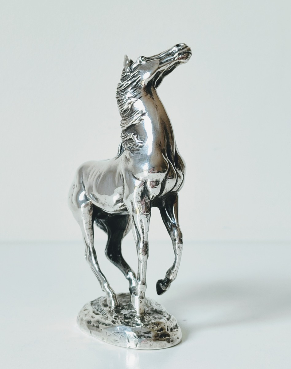 Cheval en argent massif -photo-4