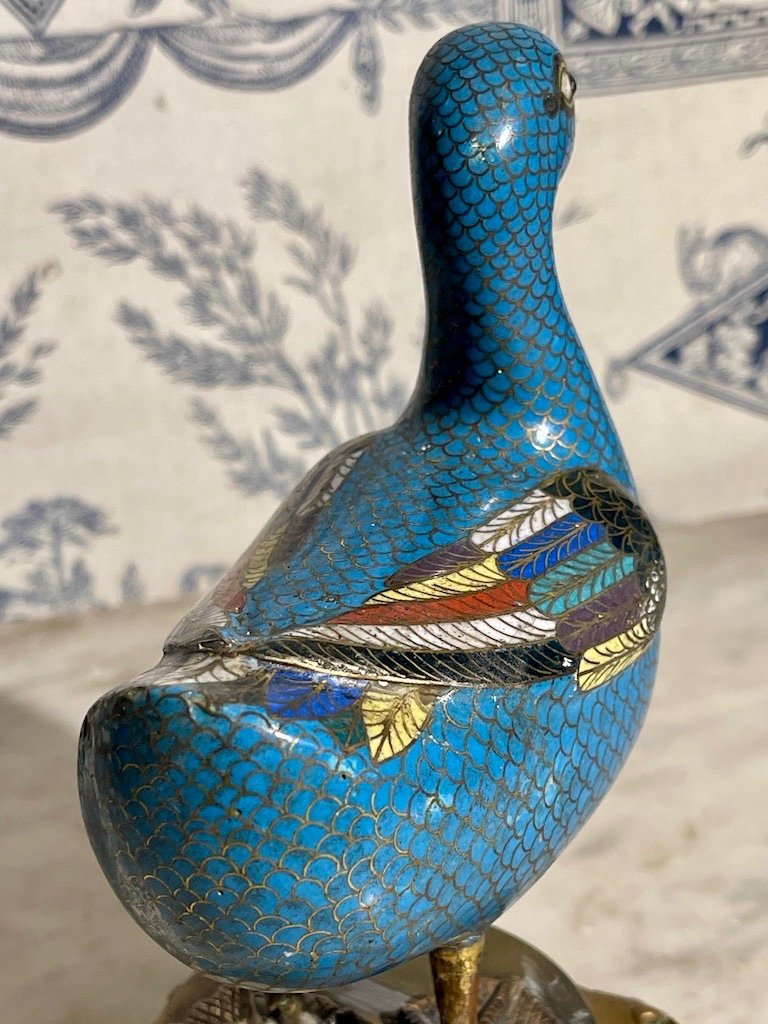 Cloisonné Enamel Duck On Base - China 19th Century-photo-3