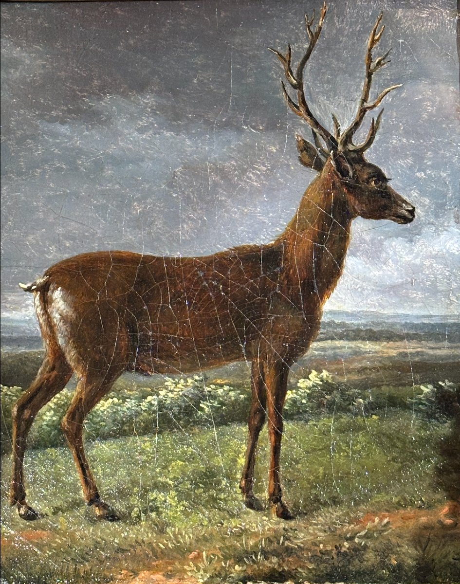 Standing Deer, Oil On Canvas By The Countess Of Roys, 19th Century-photo-2