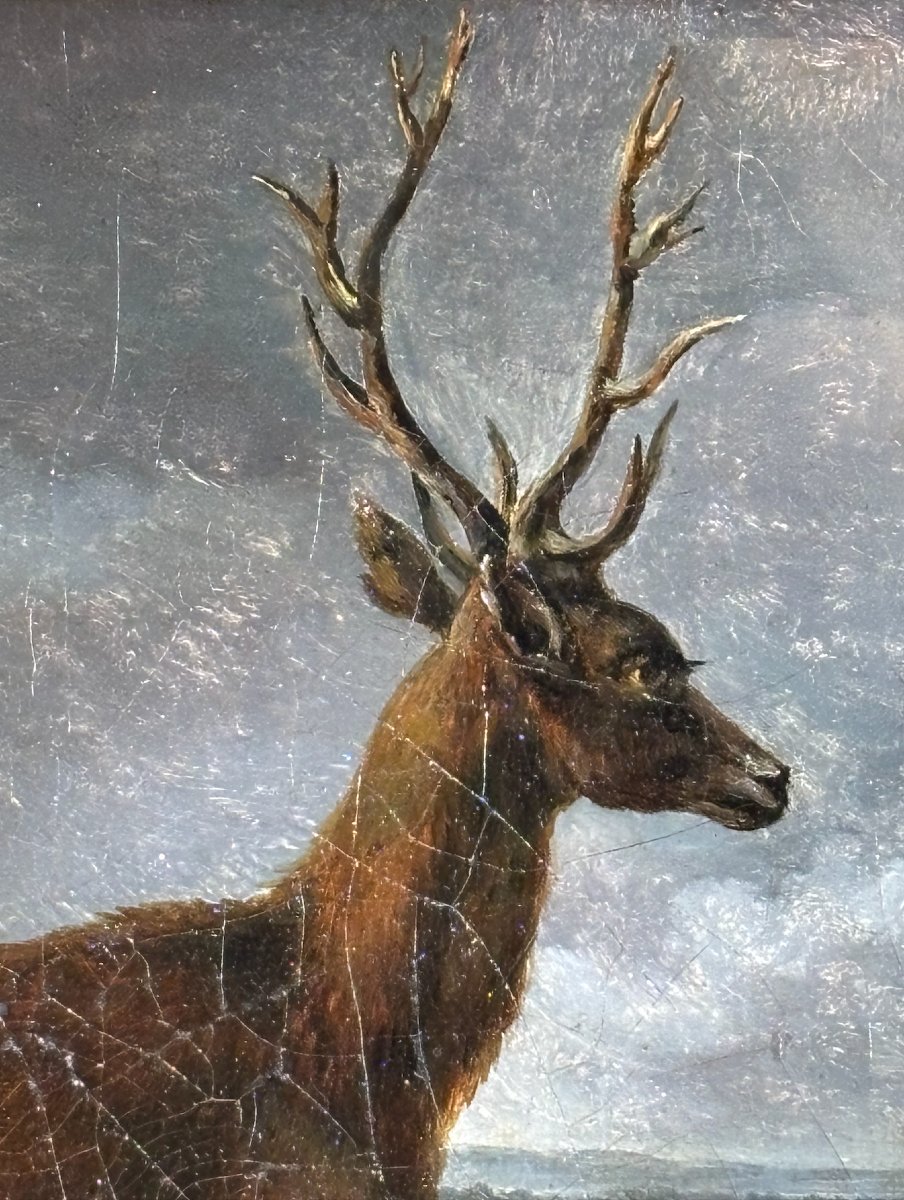 Standing Deer, Oil On Canvas By The Countess Of Roys, 19th Century-photo-3