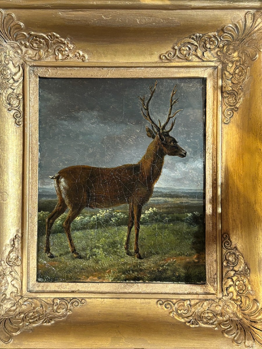 Standing Deer, Oil On Canvas By The Countess Of Roys, 19th Century