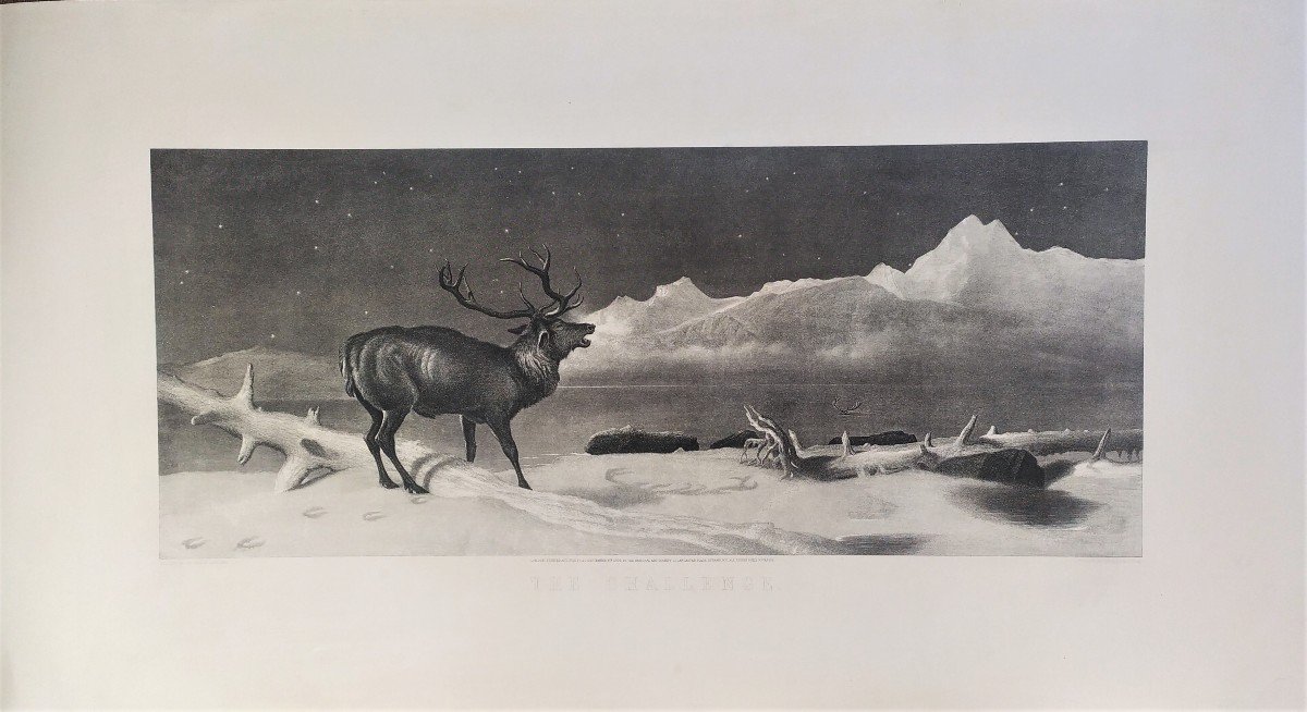 Cerf Gravure Animaux  d'Après Edwin Landseer-photo-2