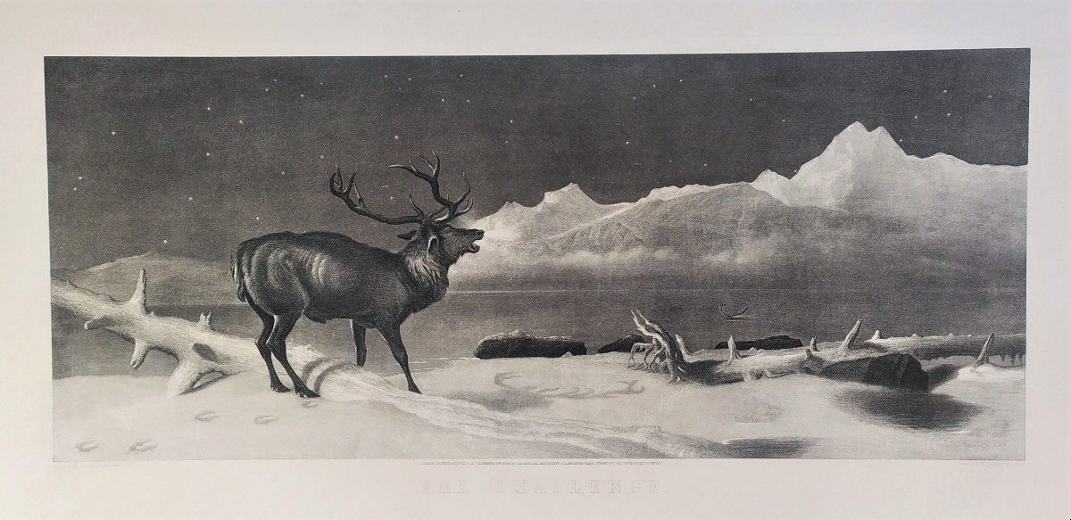 Cerf Gravure Animaux  d'Après Edwin Landseer-photo-3