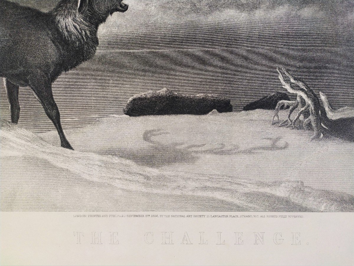 Cerf Gravure Animaux  d'Après Edwin Landseer-photo-1