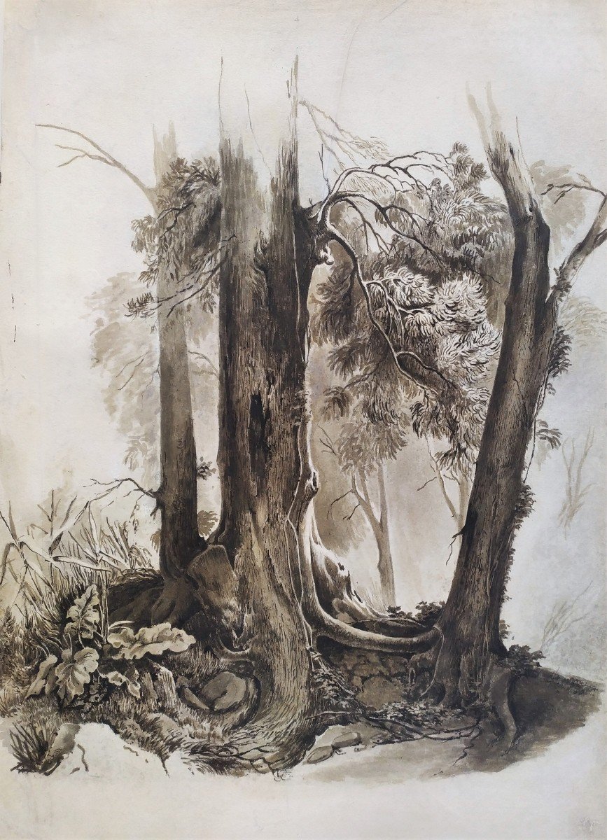 Study Of Trees By Schitz Jules Nicolas