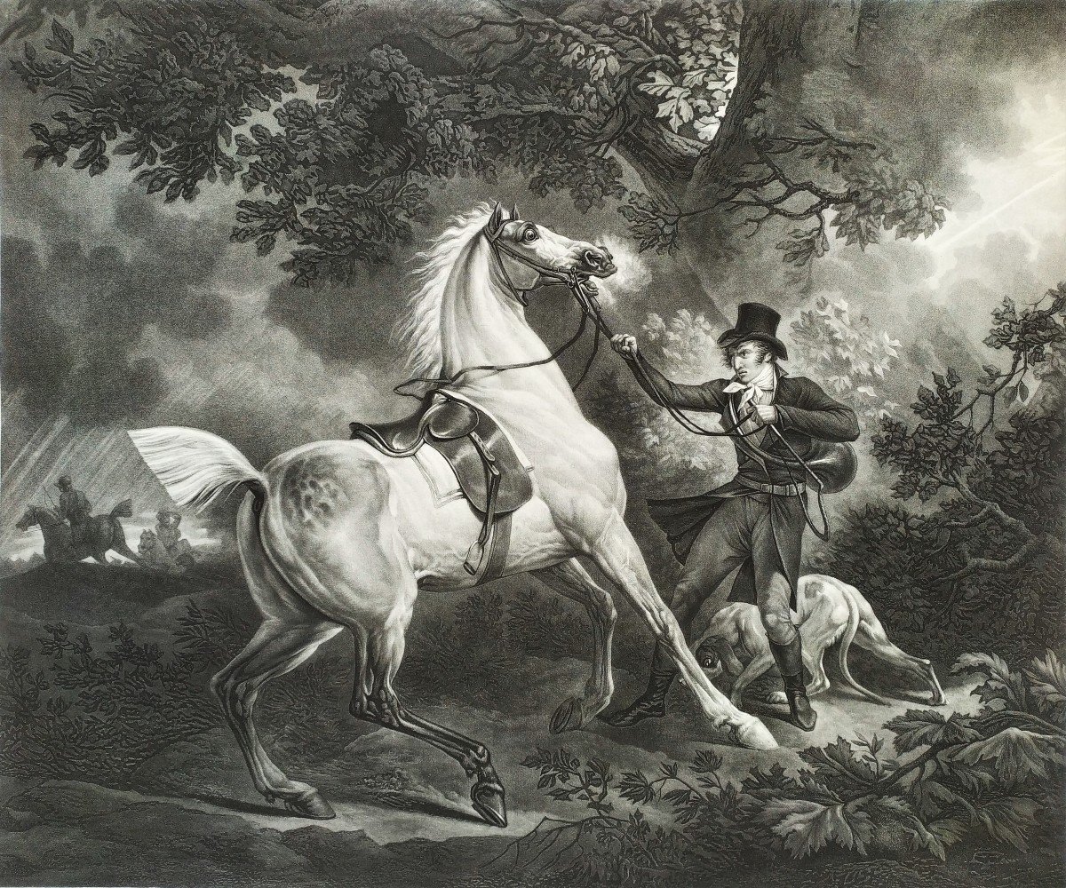 Cheval Chasse à Courre Gravure d'Après Carle Vernet