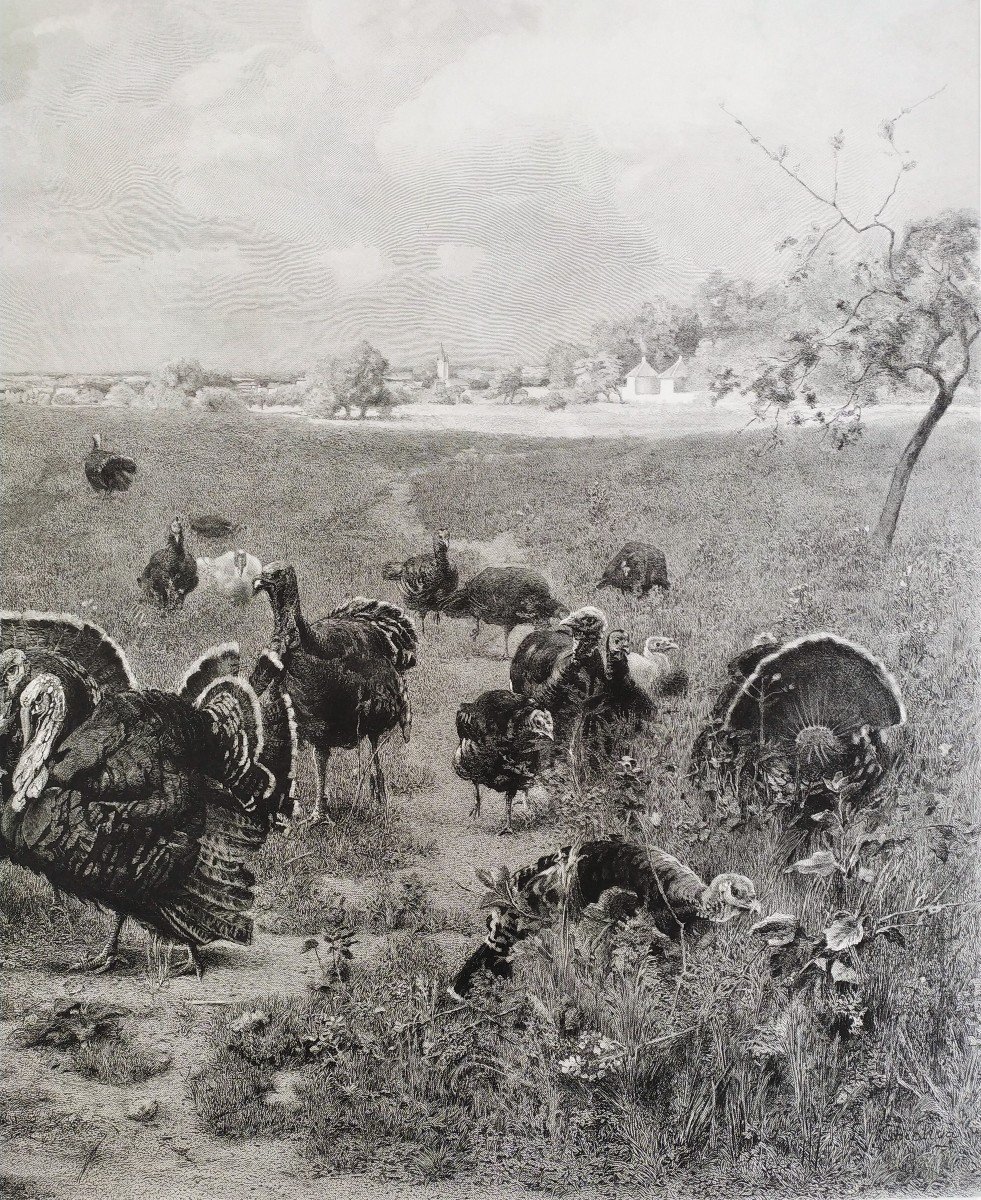 Landscape  With Turkeys Antique Etching 19th C.-photo-2