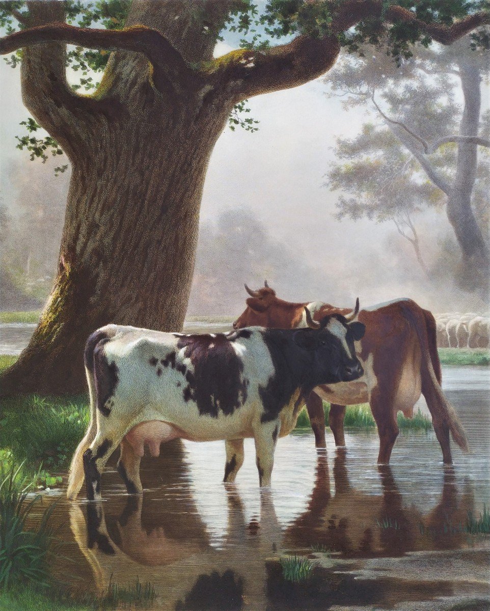 Paysage  Barbizon Les Vaches Gravure Aquarellée d'Après Auguste Bonheur-photo-3