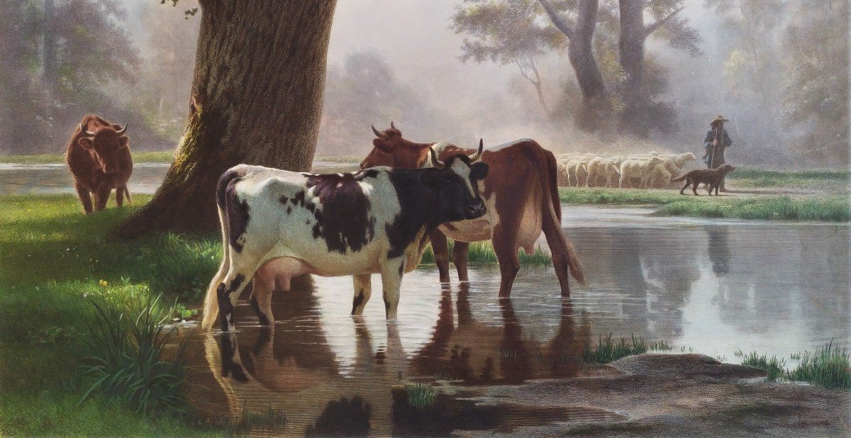 Paysage  Barbizon Les Vaches Gravure Aquarellée d'Après Auguste Bonheur-photo-1