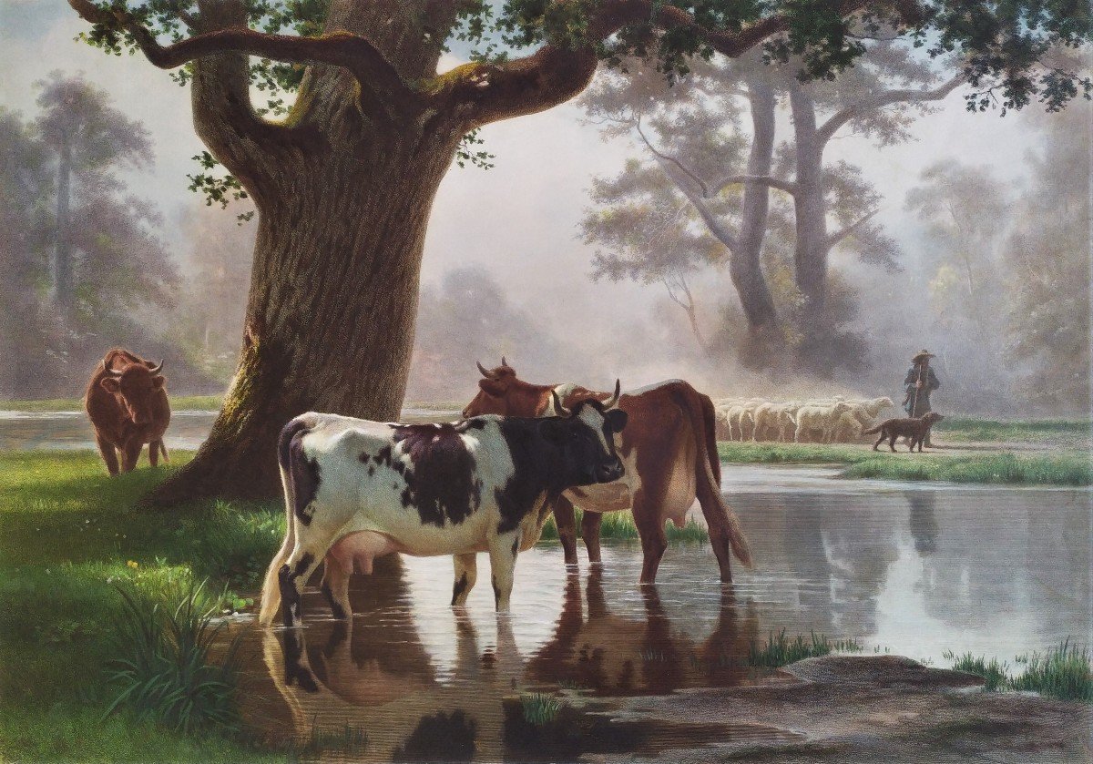 Paysage  Barbizon Les Vaches Gravure Aquarellée d'Après Auguste Bonheur