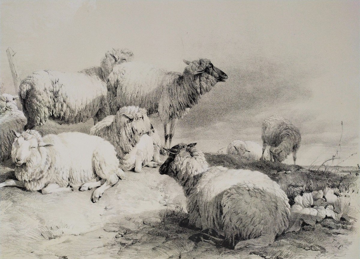 Moutons Lithographie d'Après Thomas Sidney Cooper Flock Of Sheeps XIXème-photo-1