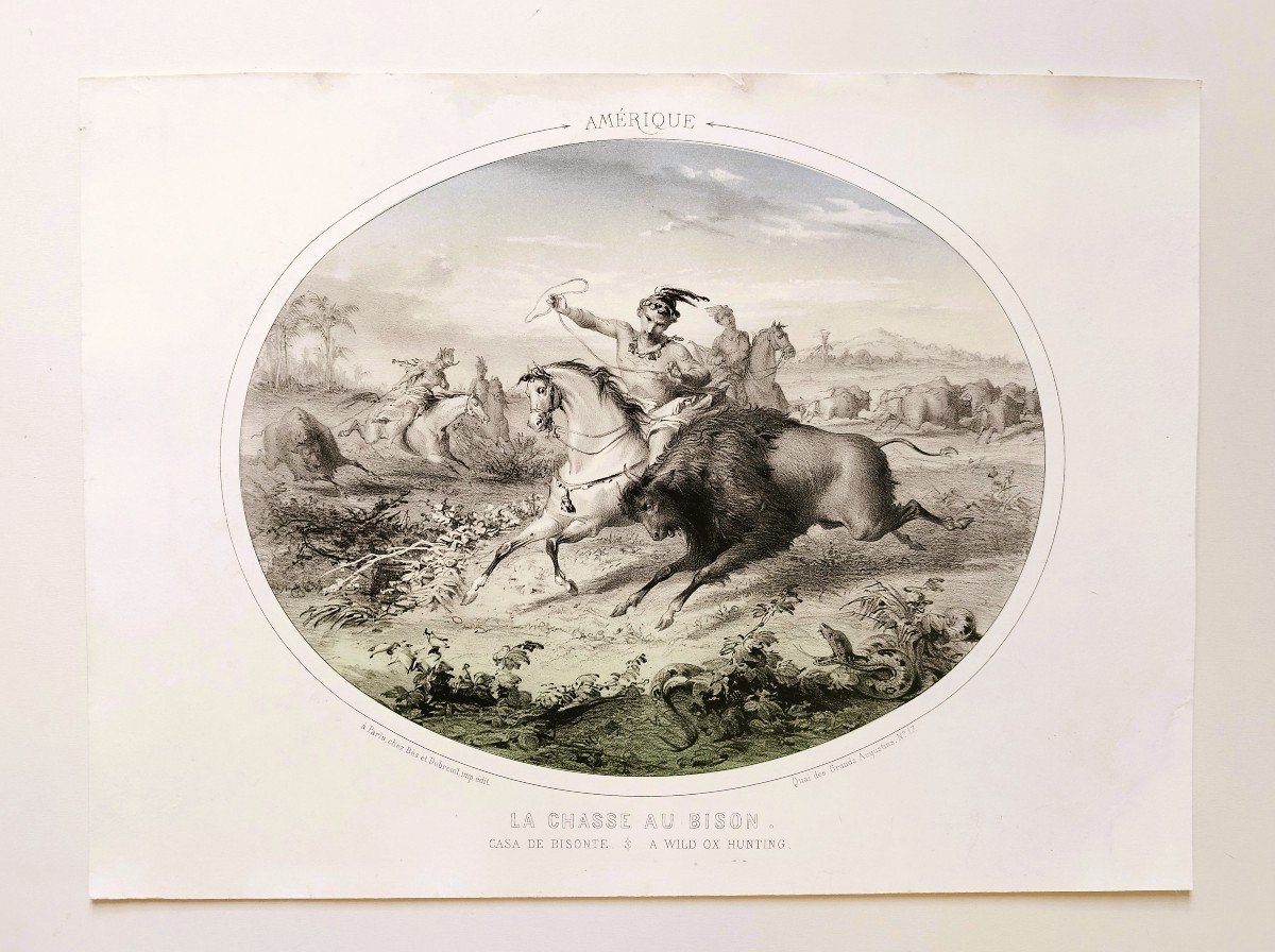 Hunting Horses Dogs Four Continents Set Of 4 Lithographs Colored 19th C Old Print-photo-4