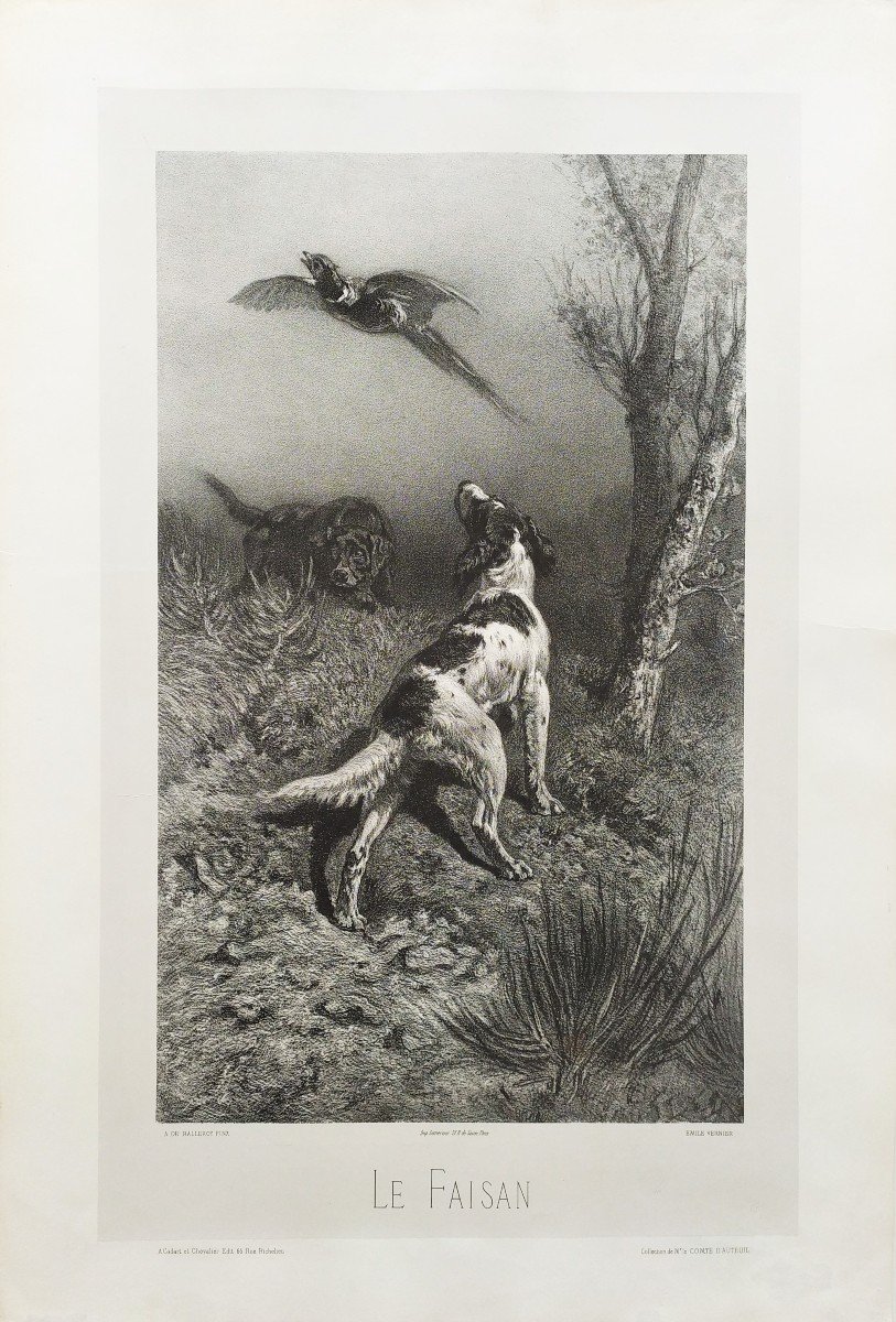 Chiens De Chasse Et Faisan lithographie 19ème-photo-3