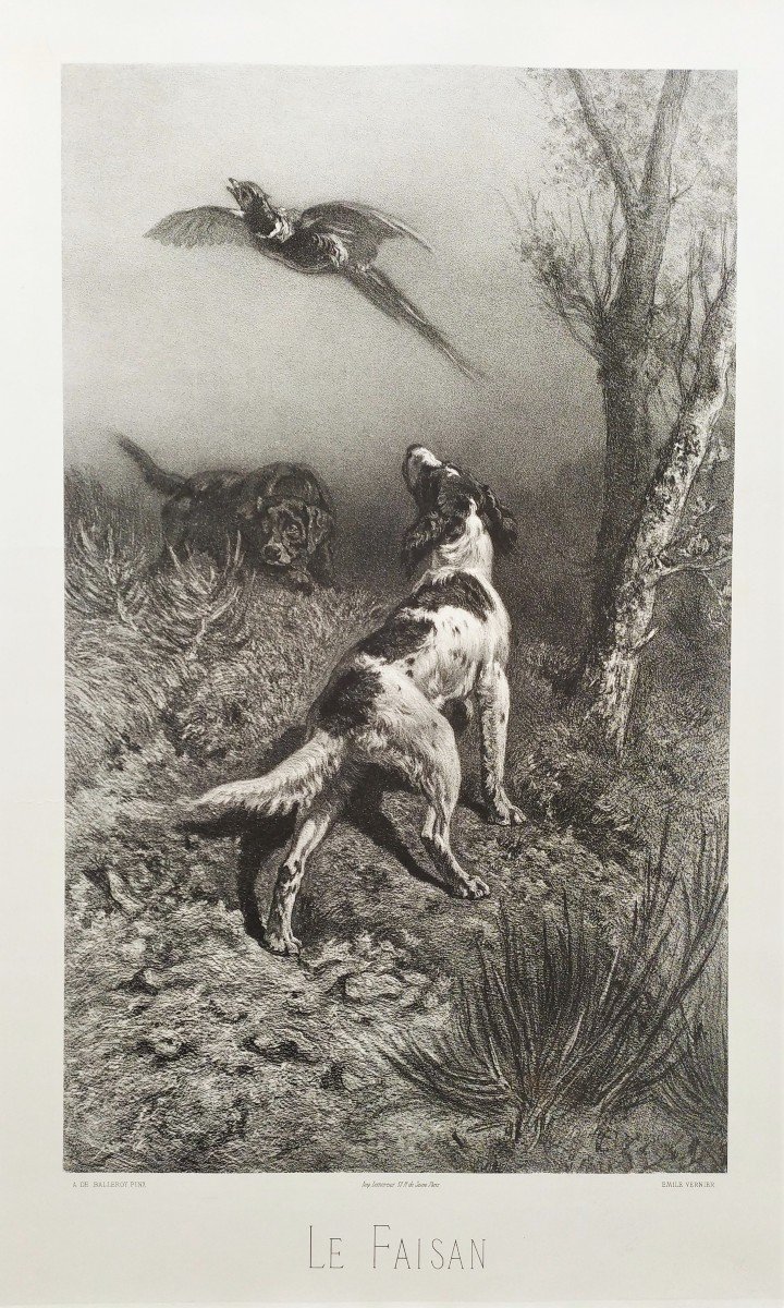 Chiens De Chasse Et Faisan lithographie 19ème-photo-4