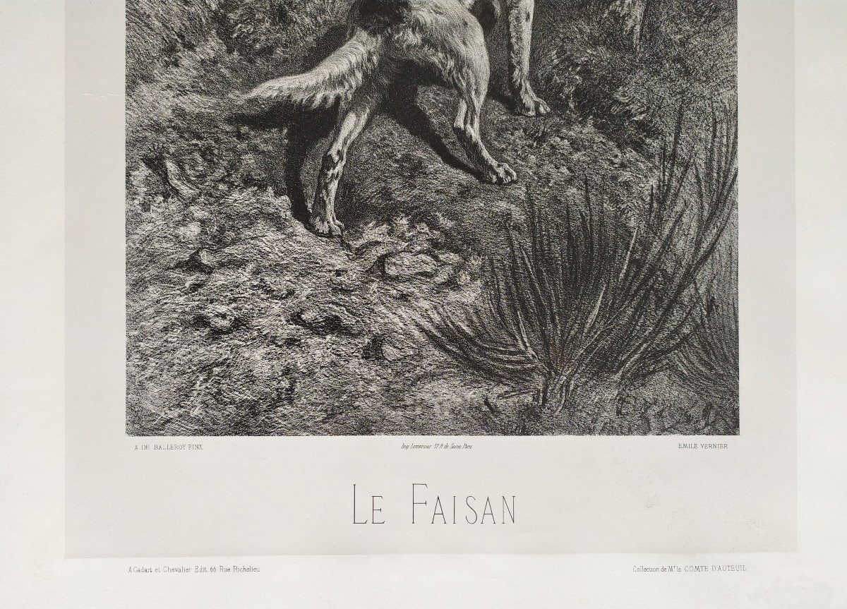 Chiens De Chasse Et Faisan lithographie 19ème-photo-1