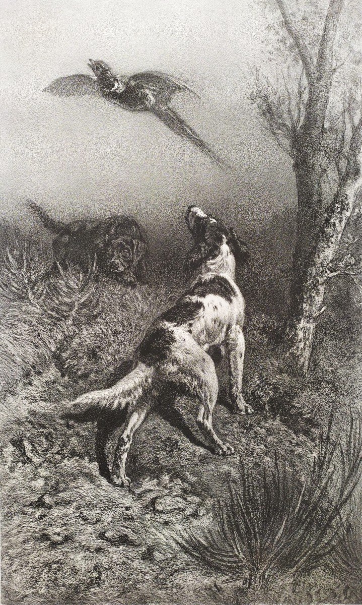 Chiens De Chasse Et Faisan lithographie 19ème-photo-2