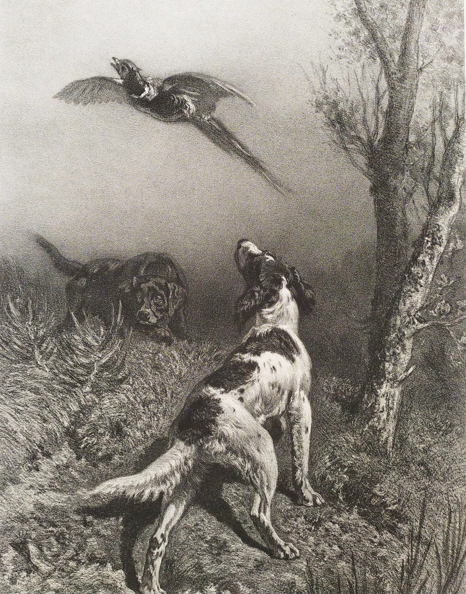 Chiens De Chasse Et Faisan lithographie 19ème-photo-4